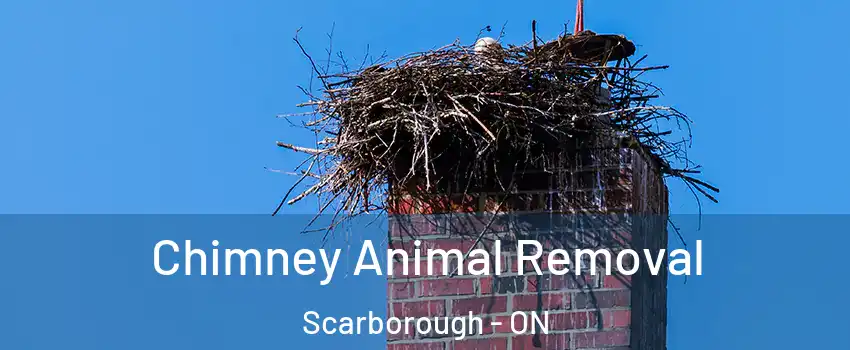 Chimney Animal Removal Scarborough - ON