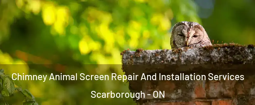  Chimney Animal Screen Repair And Installation Services Scarborough - ON