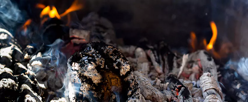 Creosote Removal Experts in Scarborough, ON