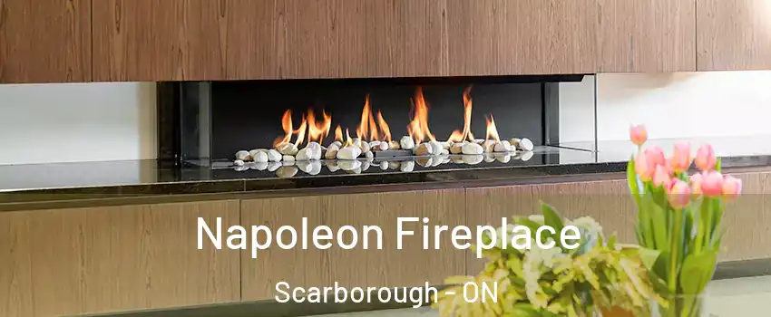  Napoleon Fireplace Scarborough - ON